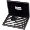 Set De Couteaux à Steak De 6 Pièces Laguiole En Aubrac Shiny 2 Set De Couteaux à Steak De 6 Pièces Laguiole En Aubrac Shiny -Victorinox Boutique AU6MC99IBI 01 laguiole en aubrac steakmesset au6mc99ibi 01