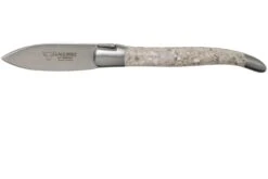 Laguiole En Aubrac Oyster C2I99CQHI Couteau à Huîtres Coquille D'huître