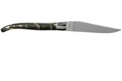 Laguiole En Aubrac 12cm L'Organique L0212B1I/FSI1, Couteau Laguiole -Victorinox Boutique AUL0212B1I FSI1 02 laguiole en aubrac