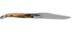 Laguiole En Aubrac 12cm Double Plates, Cactus Poncé Main, L0712CA51-FSI1 -Victorinox Boutique AUL0712CA51 FSI1 02 laguiole en aubrac v202010