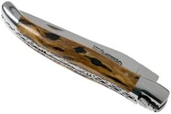 Laguiole En Aubrac 12cm Double Plates, Cactus Poncé Main, L0712CA51-FSI1 -Victorinox Boutique AUL0712CA51 FSI1 04 laguiole en aubrac v202010