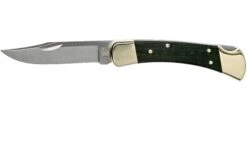Buck 110 Folding Hunter