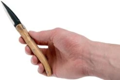 Claude Dozorme Laguiole Ensemble à Huîtres Olivier -Victorinox Boutique CD2 60 062 89 07 claude dozorme cd2 60 062 89 07