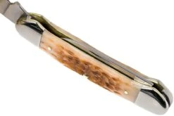 Case Canoe Amber Jigged Bone, 00263, 62131 CV Couteau De Poche 19 Case Canoe Amber Jigged Bone, 00263, 62131 CV Couteau De Poche -Victorinox Boutique CE263 08 case ce263 08