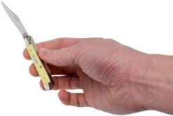 Case Peanut Yellow Synthetic, 00030, 3220 CV Couteau De Poche -Victorinox Boutique CE30 10 case ce30 10