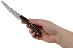 Due Cigni Arne Line Couteau à Steak 11 Cm, Ziricote -Victorinox Boutique DG2C900ZW 06 due cigni arne