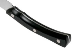 Due Cigni Arne Line Couteau D'office 10 Cm, Noir -Victorinox Boutique DG2C901 04 due cigni arne