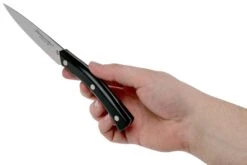 Due Cigni Arne Line Couteau D'office 10 Cm, Noir -Victorinox Boutique DG2C901 06 due cigni arne