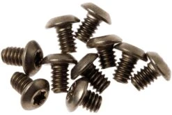 Flytanium Benchmade Bugout Screws Titanium, Gold