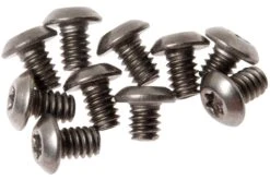 Flytanium Benchmade Bugout Screws Titanium, Silver