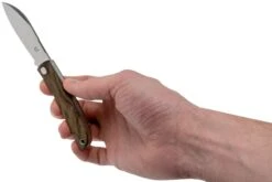 Fox Knives Livri FX-273ZW Zircote Couteau De Poche Slipjoint 18 Fox Knives Livri FX-273ZW Zircote Couteau De Poche Slipjoint -Victorinox Boutique FOFX 273ZW 08 fox knives