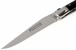 Fontenille Pataud « Nature » Pointe De Corne Noire L6PCNTG -Victorinox Boutique FPL6PCNTG 02 fontenille pataud fpl6pcntg d2
