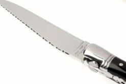 Fontenille Pataud « Nature » Pointe De Corne Noire L6PCNTG -Victorinox Boutique FPL6PCNTG 05 fontenille pataud fpl6pcntg d5