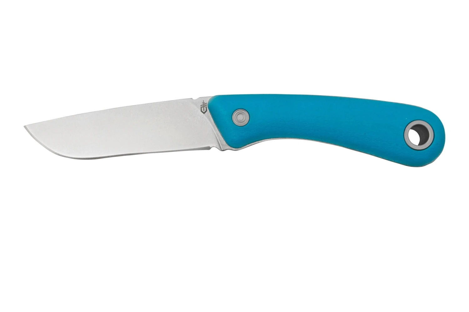Gerber Spine Fixed Blade Cyan, 30-001498 3 Gerber Spine Fixed Blade Cyan, 30-001498