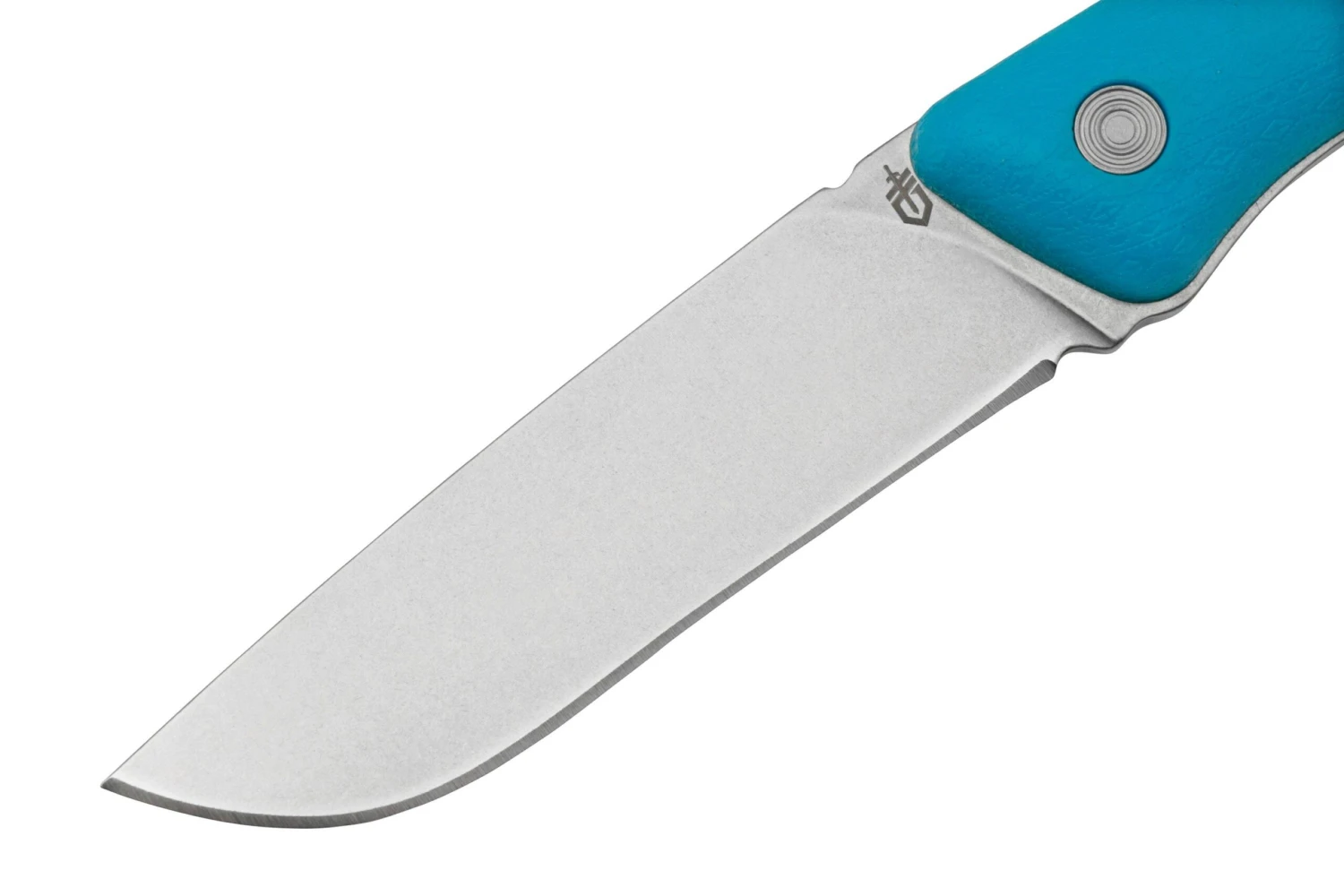 Gerber Spine Fixed Blade Cyan, 30-001498 5 Gerber Spine Fixed Blade Cyan, 30-001498 – Image 3