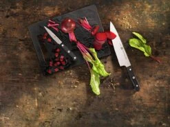 Zwilling Gourmet Couteau D'office 10 Cm, 36110-101 15 Zwilling Gourmet Couteau D'office 10 Cm, 36110-101 -Victorinox Boutique Gourmet3 1