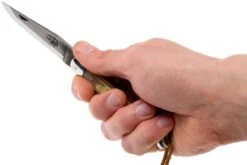 Forge De Laguiole 12110INCABDF, Corne D'Aubrac 15 Forge De Laguiole 12110INCABDF, Corne D'Aubrac -Victorinox Boutique LA12110INCABDF 07 forge de laguiole la12110incabdf 07