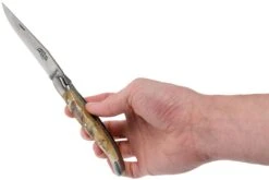 Forge De Laguiole 12 Cm 1212INBESAT Corne De Bélier, Couteau Laguiole -Victorinox Boutique LA1212INBESAT 08 forge de laguiole