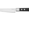Maserin TEGI 2500-12PN Couteau à Steak Noir, 12 Cm -Victorinox Boutique ME2500 12PN 01 maserin