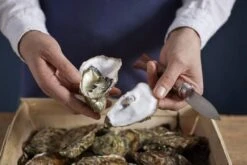 Couteau à Huîtres Opinel N°09 15 Couteau à Huîtres Opinel N°09 -Victorinox Boutique OP001616 07 opinel oestermes op001616 08