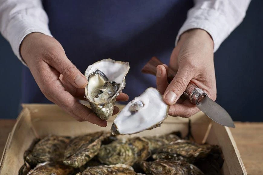 Couteau à Huîtres Opinel N°09 8 Couteau à Huîtres Opinel N°09 – Image 6