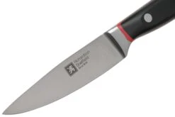Richardson Sheffield Velocity 123BFCSB3117 Couteau D'office, 10.5cm -Victorinox Boutique RFR123BFCSB3117 03 richardsonsheffield