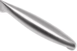 Lion Sabatier Fuso Nitro+ Couteau D'office 10 Cm, 746182 12 Lion Sabatier Fuso Nitro+ Couteau D'office 10 Cm, 746182 -Victorinox Boutique SA746182 05 lion sabatier fuso sa746182 05