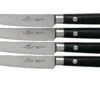 Lion Sabatier Leonys Set De Couteaux à Steak, 4 Pièces, 904284 -Victorinox Boutique SA904284 01 lion sabatier