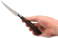 Saladini Ensemble 6 Pièces Couteaux à Steak 23 Cm, Wenge -Victorinox Boutique SL4001PW6 07 saladini sl4001pw6 07