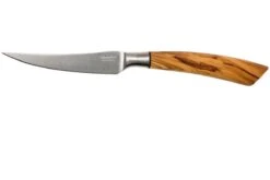 Saladini Ensemble 6 Pièces Couteaux à Steak 23 Cm, Ensemble Cadeau -Victorinox Boutique SL4001VL6 03 saladini sl4001vl6 03