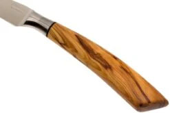 Saladini Ensemble 6 Pièces Couteaux à Steak 23 Cm, Ensemble Cadeau -Victorinox Boutique SL4001VL6 06 saladini sl4001vl6 06