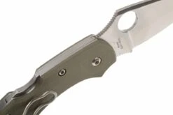 Spyderco Dragonfly Foliage Green G10 C28GPFG Couteau De Poche -Victorinox Boutique SPC28GPFG 04 spyderco dragonfly2 foliage green spc28gpfg d4
