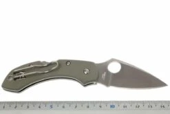 Spyderco Dragonfly Foliage Green G10 C28GPFG Couteau De Poche -Victorinox Boutique SPC28GPFG 05 spyderco dragonfly2 foliage green spc28gpfg d5