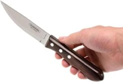 Tramontina Churrasco Ensemble De Couteaux à Steak Jumbo (6 Pièces), 21199-970 -Victorinox Boutique TA21199 970 02 tramontina churrasco tc21199 970 02