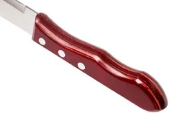 Tramontina Churrasco Set De 6 Couteaux à Steak Jumbo, 29899-164 -Victorinox Boutique TC29899 164 04 tramontina churasso tc29899 164 04