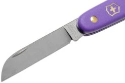 Victorinox Couteau Fleuriste 3.9050.22B1 Violet -Victorinox Boutique VT3 9050 22B1 03 victorinox