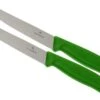 Victorinox SwissClassic Couteaux à Steak/pizza Vert, Set De 2, 6.7936.12L4B -Victorinox Boutique VT6 7936 12L4B 01 victorinox steakmes groen vt vt6 7936 12l4b 01