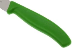 Victorinox SwissClassic Couteaux à Steak/pizza Vert, Set De 2, 6.7936.12L4B -Victorinox Boutique VT6 7936 12L4B 03 victorinox steakmes groen vt vt6 7936 12l4b 03