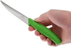 Victorinox SwissClassic Couteaux à Steak/pizza Vert, Set De 2, 6.7936.12L4B -Victorinox Boutique VT6 7936 12L4B 04 victorinox steakmes groen vt vt6 7936 12l4b 04