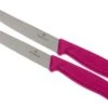 Victorinox SwissClassic Couteaux à Steak/pizza Rose, Set De 2, 6.7936.12L5B 2 Victorinox SwissClassic Couteaux à Steak/pizza Rose, Set De 2, 6.7936.12L5B -Victorinox Boutique VT6 7936 12L5B 01 victorinox steakmes roze vt vt6 7936 12l5b 01
