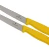 Victorinox SwissClassic Couteaux à Steak/pizza Jaune, Set De 2 6.7936.12L8B -Victorinox Boutique VT6 7936 12L8B 01 victorinox steakmes geel vt vt6 7936 12l8b 01
