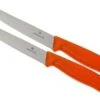 Victorinox SwissClassic Couteaux à Steak/pizza Orange Set De 2 6.7936.12L9B -Victorinox Boutique VT6 7936 12L9B 01 victorinox steakmes oranje vt vt6 7936 12l9b 01