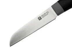 Zwilling Now S 1009646 Couteau à Légumes, 9 Cm -Victorinox Boutique ZW1009646 03 zwilling