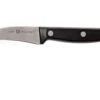 Zwiling Twin Chef Couteau Bec D'oiseau 7 Cm, 34910-061 -Victorinox Boutique ZW34910 061 01 zwilling twin chef zw34910 061 01