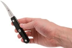 Zwilling Gourmet Couteau à éplucher Bec D'oiseau 6 Cm, 36110-061 -Victorinox Boutique ZW36110 061 0 06 zwilling gourmet zw36110 061 0 06